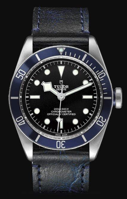 Tudor BLACK BAY M79230B-0007 Replica Watch